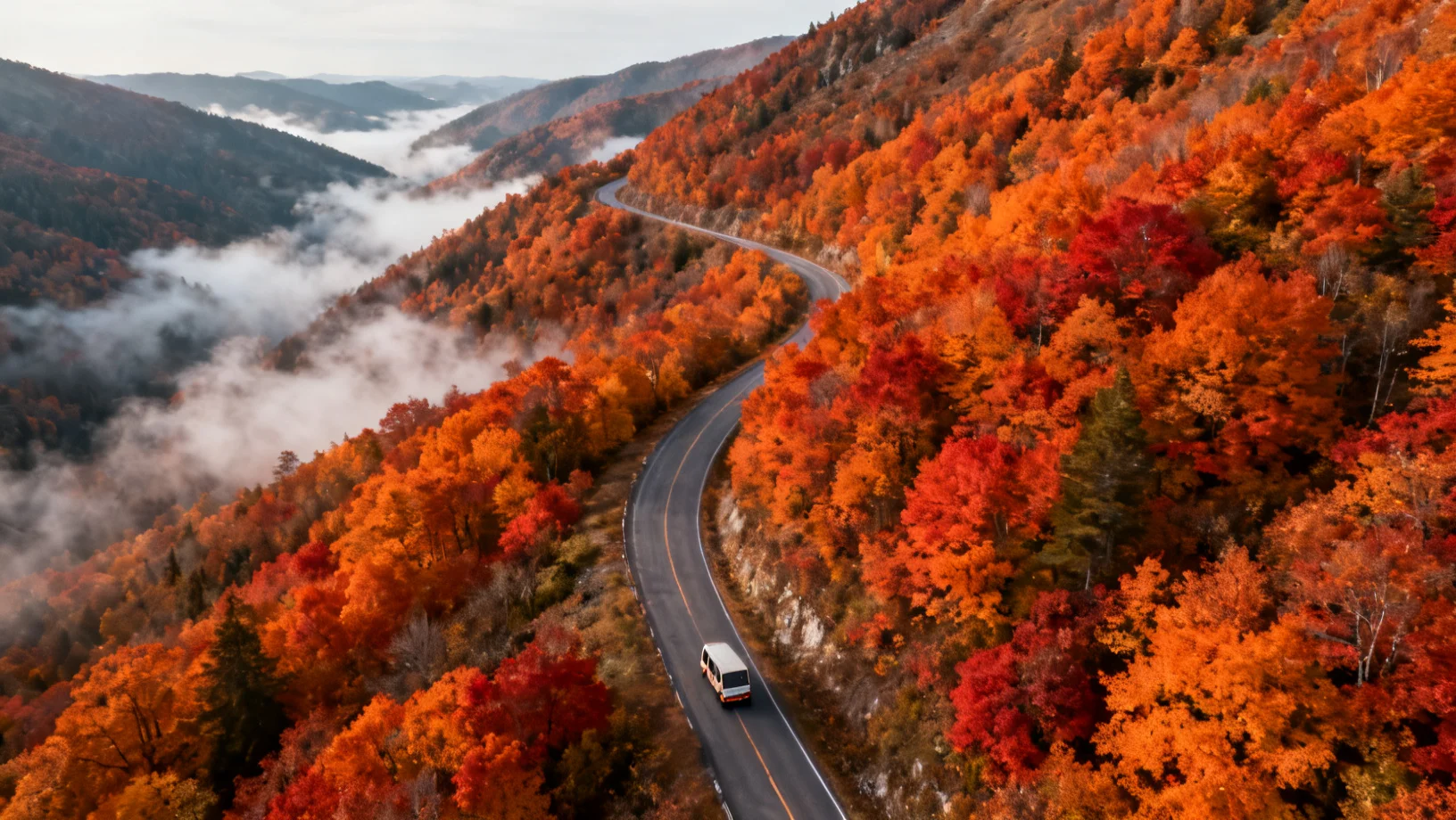 Route sinueuse en forêt automnale vue du ciel